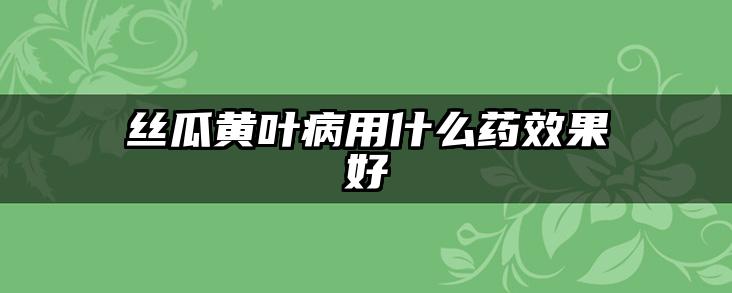 丝瓜黄叶病用什么药效果好