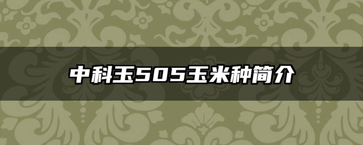 中科玉505玉米种简介