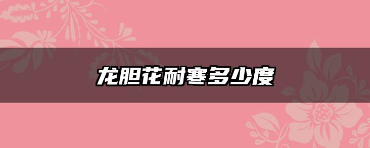 龙胆花耐寒多少度