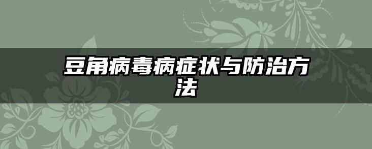 豆角病毒病症状与防治方法