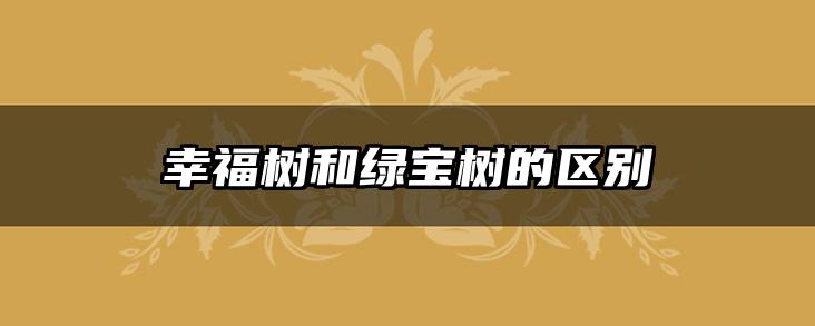 幸福树和绿宝树的区别