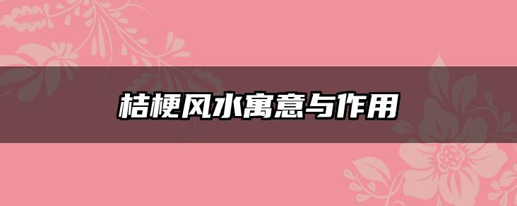 桔梗风水寓意与作用