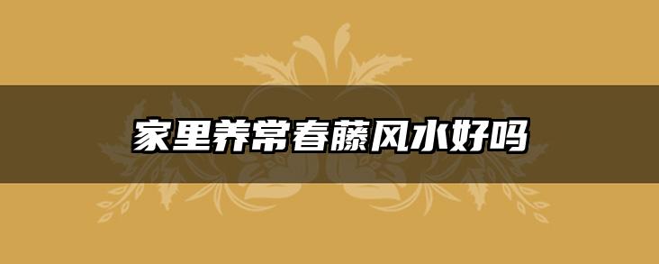 家里养常春藤风水好吗