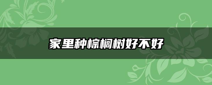 家里种棕榈树好不好