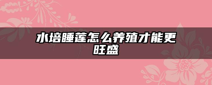 水培睡莲怎么养殖才能更旺盛