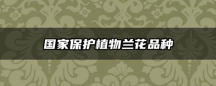 国家保护植物兰花品种