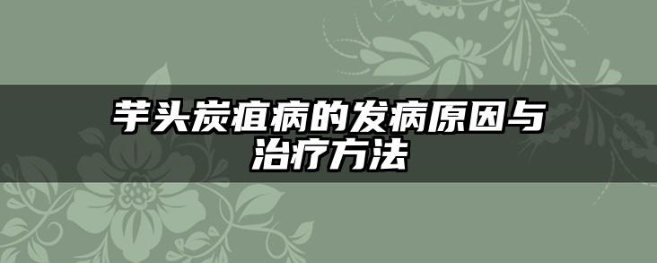 芋头炭疽病的发病原因与治疗方法