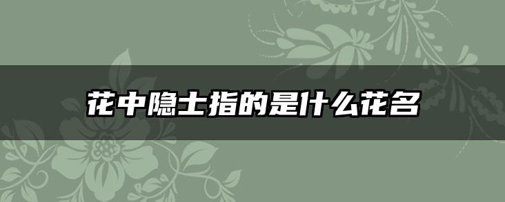 花中隐士指的是什么花名