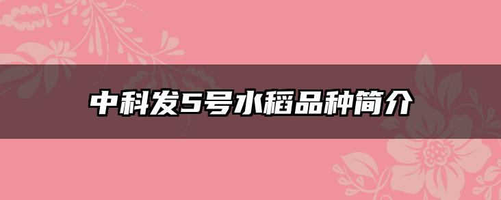 中科发5号水稻品种简介