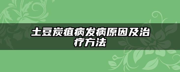 土豆炭疽病发病原因及治疗方法