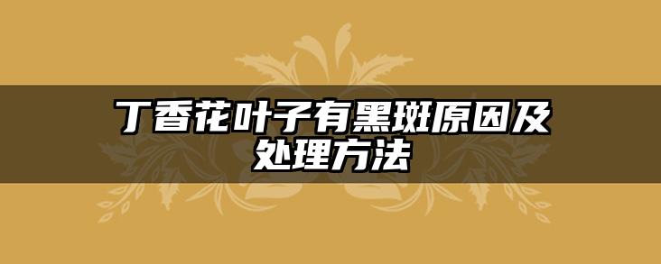 丁香花叶子有黑斑原因及处理方法