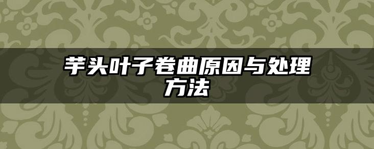 芋头叶子卷曲原因与处理方法