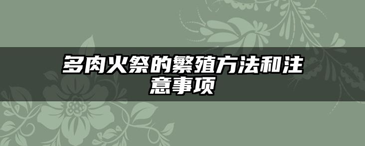 多肉火祭的繁殖方法和注意事项