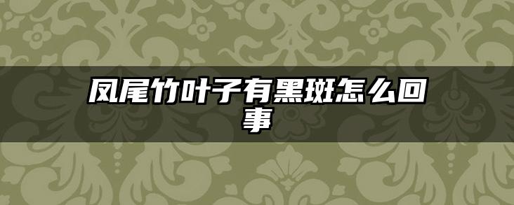 凤尾竹叶子有黑斑怎么回事
