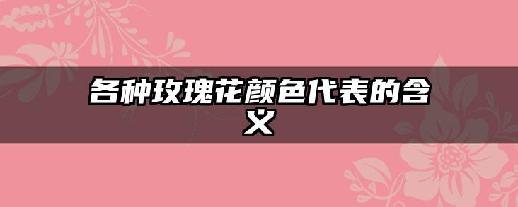各种玫瑰花颜色代表的含义