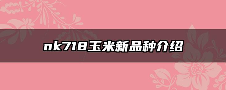 nk718玉米新品种介绍
