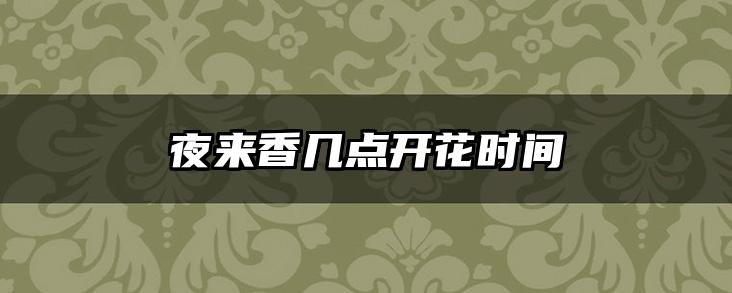 夜来香几点开花时间