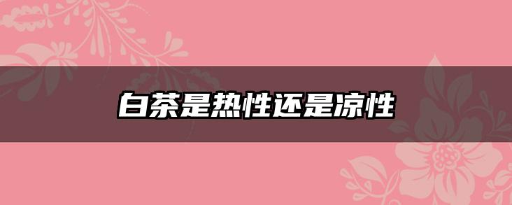 白茶是热性还是凉性