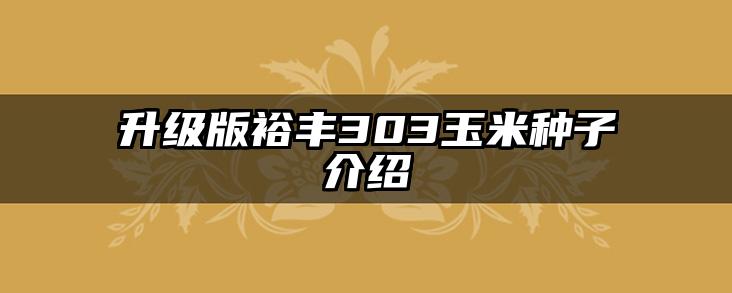 升级版裕丰303玉米种子介绍