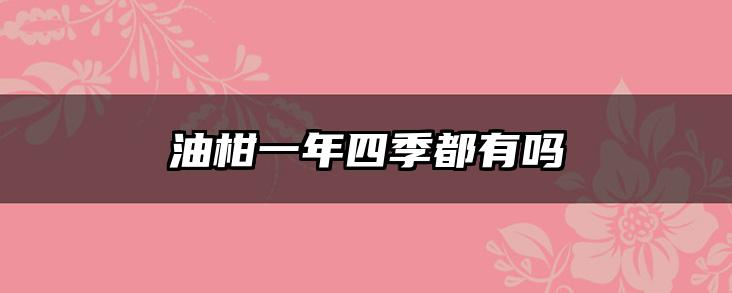 油柑一年四季都有吗