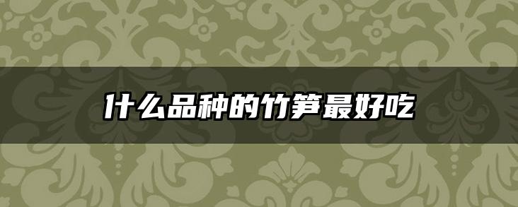 什么品种的竹笋最好吃