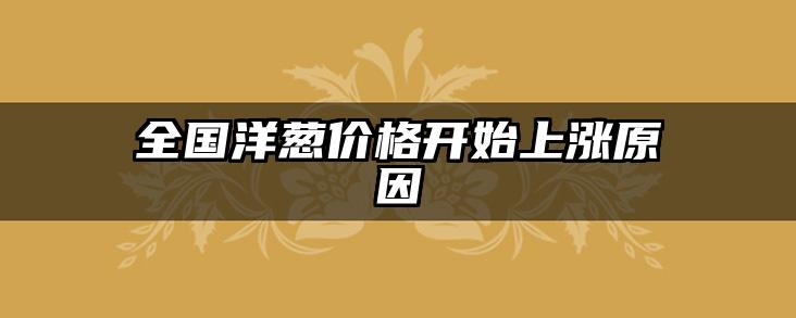 全国洋葱价格开始上涨原因