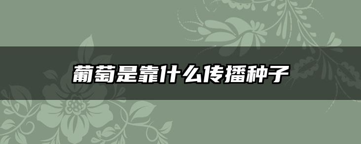 葡萄是靠什么传播种子