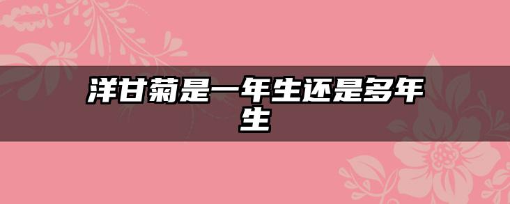 洋甘菊是一年生还是多年生