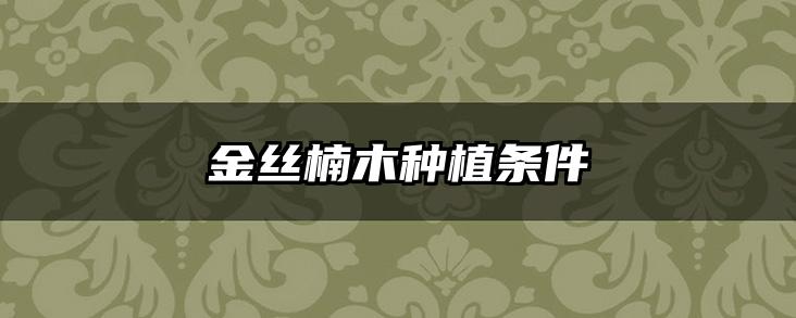 金丝楠木种植条件