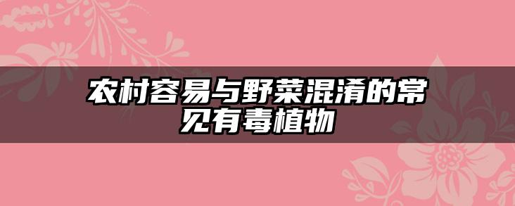 农村容易与野菜混淆的常见有毒植物