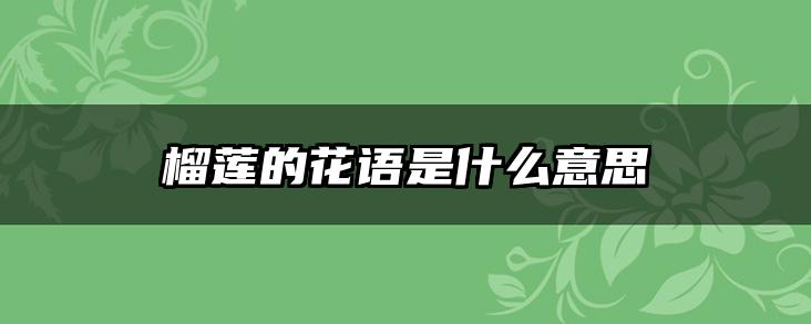 榴莲的花语是什么意思