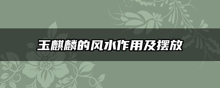 玉麒麟的风水作用及摆放