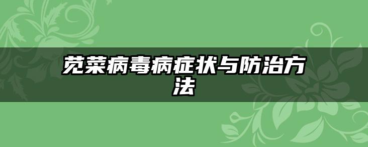 苋菜病毒病症状与防治方法