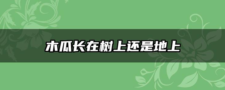 木瓜长在树上还是地上