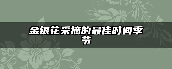 金银花采摘的最佳时间季节