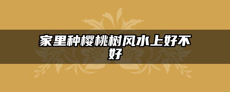 家里种樱桃树风水上好不好