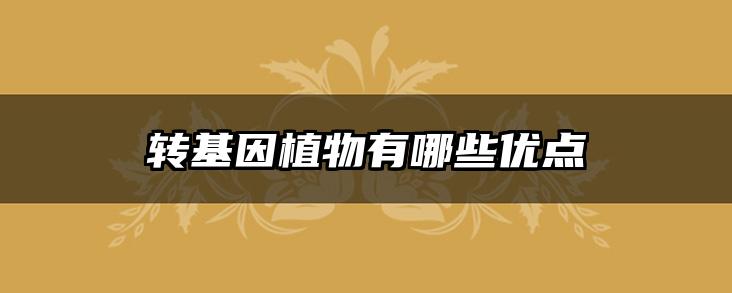 转基因植物有哪些优点