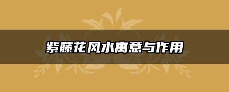 紫藤花风水寓意与作用