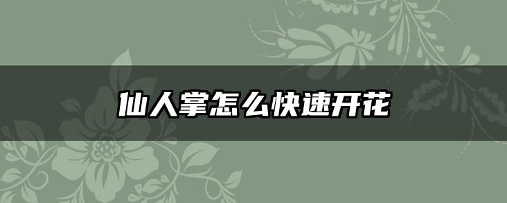仙人掌怎么快速开花