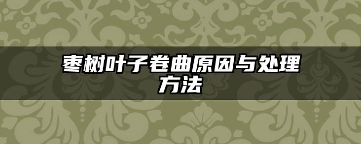 枣树叶子卷曲原因与处理方法
