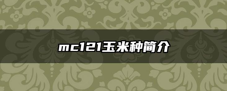 mc121玉米种简介