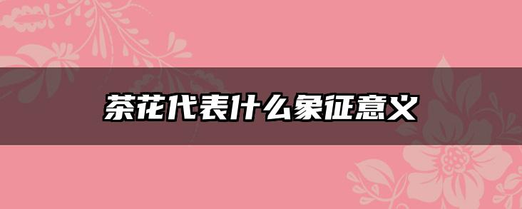 茶花代表什么象征意义