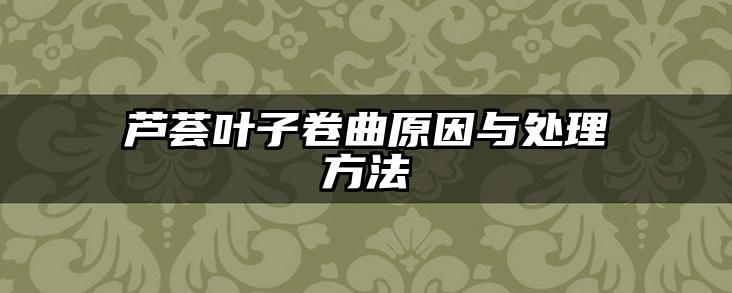 芦荟叶子卷曲原因与处理方法