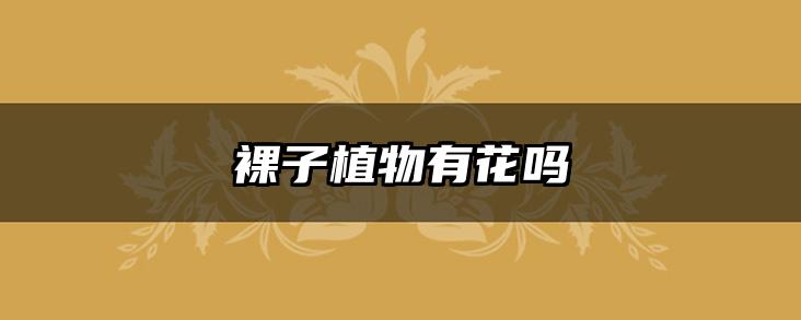 裸子植物有花吗