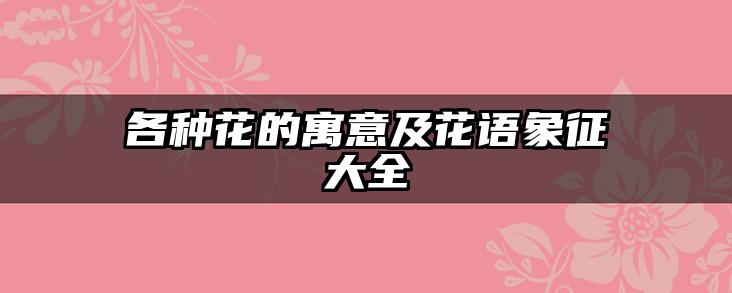 各种花的寓意及花语象征大全