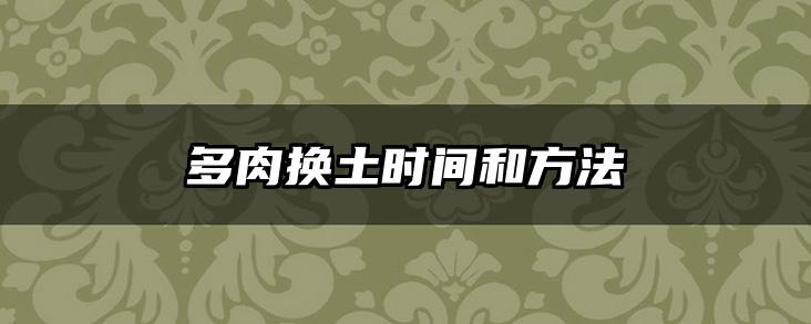 多肉换土时间和方法
