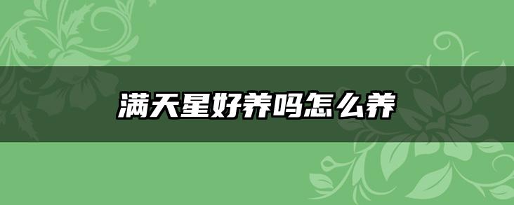 满天星好养吗怎么养