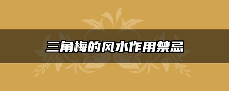 三角梅的风水作用禁忌