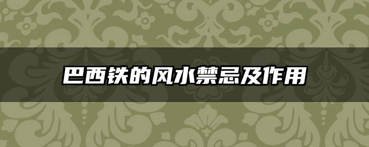 巴西铁的风水禁忌及作用