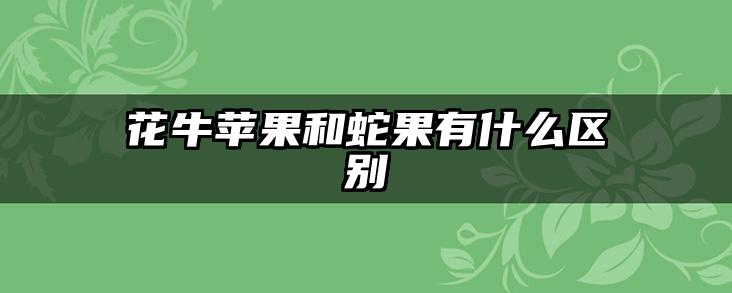 花牛苹果和蛇果有什么区别